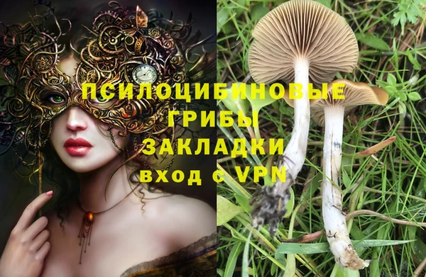 марки nbome Алексеевка