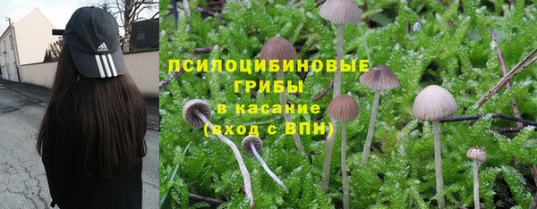 экстази Алзамай
