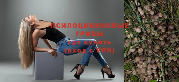 ПСИЛОЦИБИНОВЫЕ ГРИБЫ Абинск