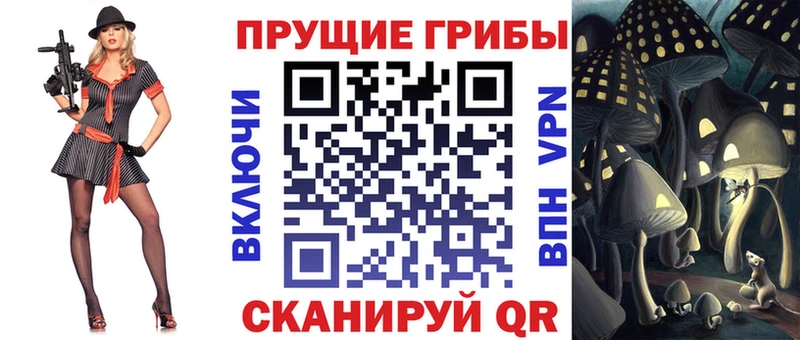 Псилоцибиновые грибы GOLDEN TEACHER  площадка наркотические препараты  Щёлково 